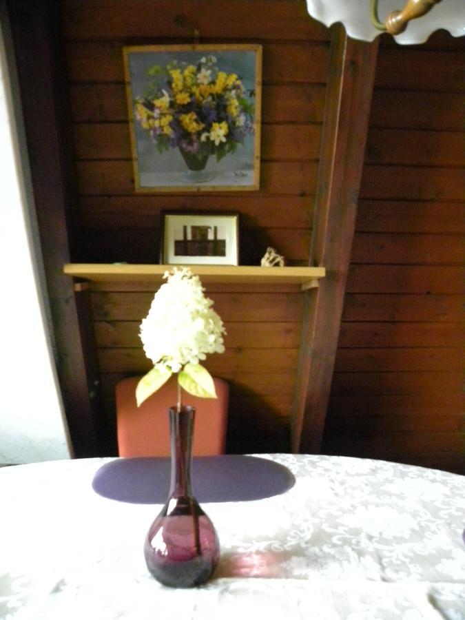 Ferienhaus Sommerland Auszeithuette Freyung Kültér fotó